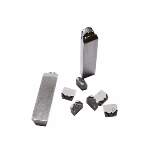 Cemented Carbide Nail Mold Punching Die for Nail Making Die